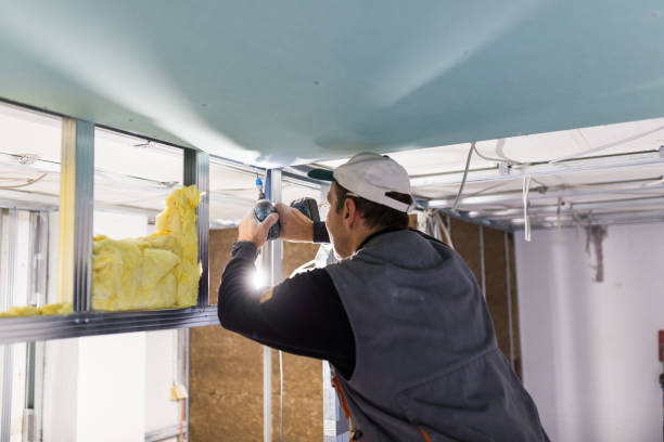 Best Garage Insulation Installation  in Creve Coeur, IL