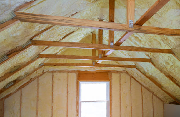 Best Insulation Replacement Services  in Creve Coeur, IL