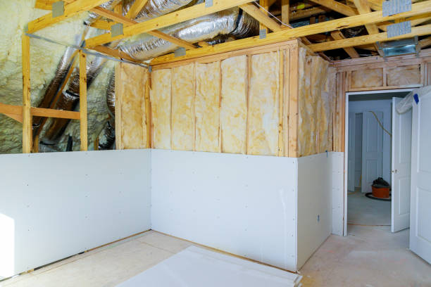 Best Energy-efficient Insulation  in Creve Coeur, IL