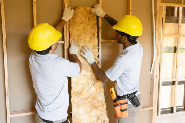 Best Local Insulation Services  in Creve Coeur, IL