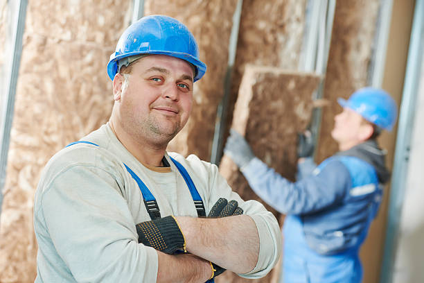 Best Spray Foam Insulation  in Creve Coeur, IL