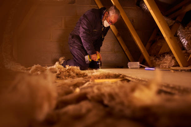 Best Insulation for New Construction  in Creve Coeur, IL