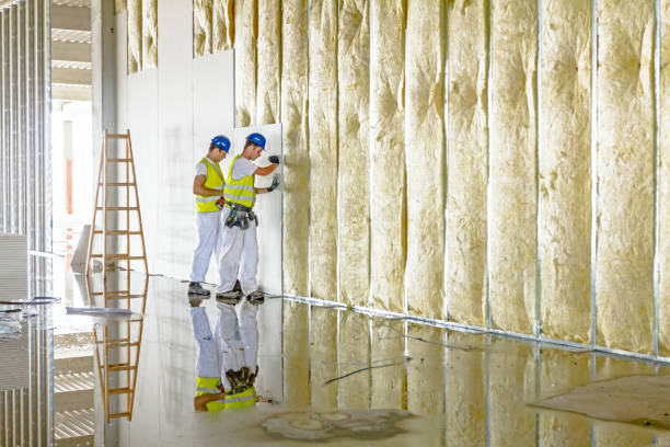 Best Cellulose Insulation  in Creve Coeur, IL